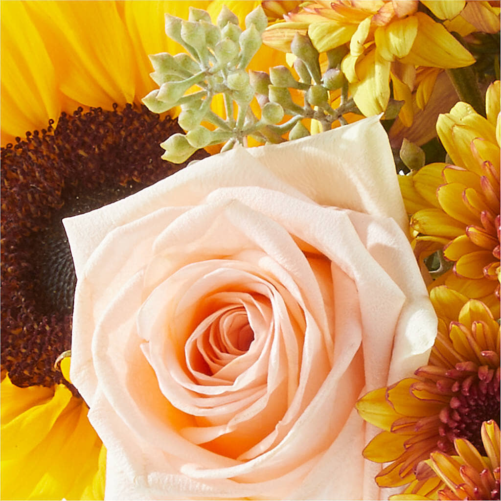 Pumpkin to Talk About Bouquet – SHAW'S, West Bridgewater MA
