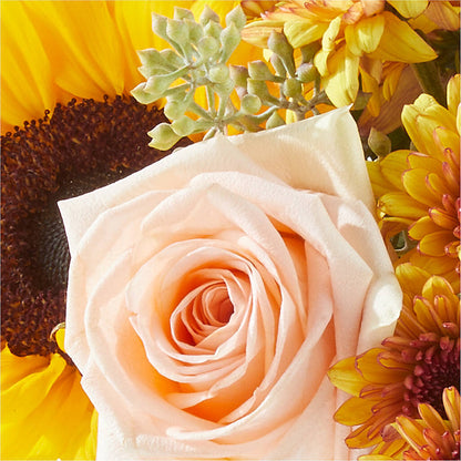 Pumpkin to Talk About Bouquet – SHAW'S, West Bridgewater MA