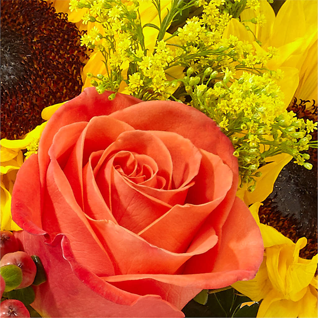 Pick of the Patch Pumpkin Bouquet – SHAW'S, West Bridgewater MA