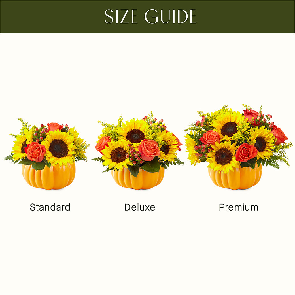 Pick of the Patch Pumpkin Bouquet – SHAW'S, West Bridgewater MA
