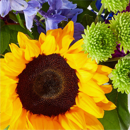 Catching Rays Bouquet – SHAW'S, West Bridgewater MA