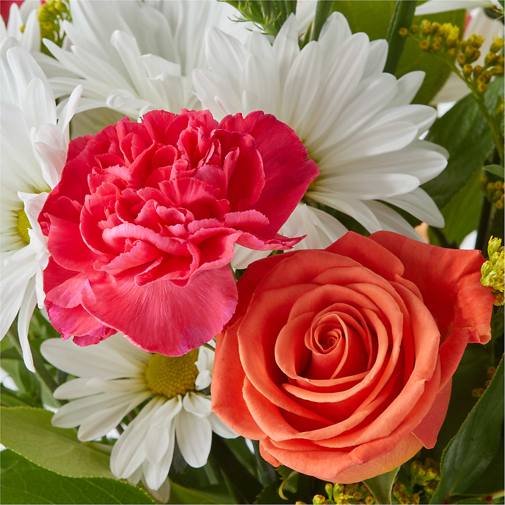 Oopsie Daisy Bouquet – SHAW'S, West Bridgewater MA