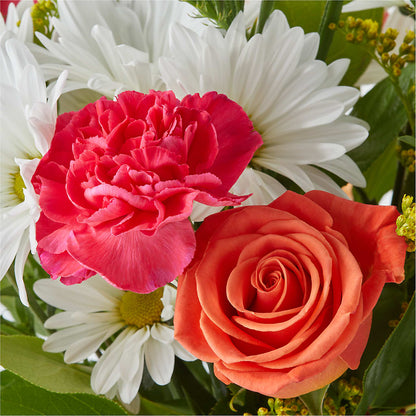 Oopsie Daisy Bouquet – SHAW'S, West Bridgewater MA