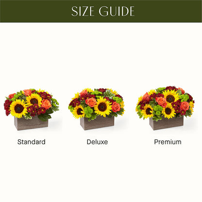 Happy Harvest Garden – SHAW'S, West Bridgewater MA