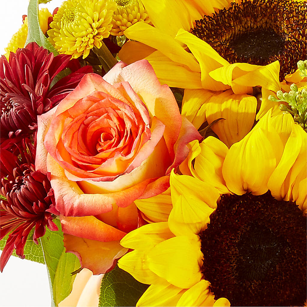 Golden Gourd Pumpkin Bouquet – SHAW'S, West Bridgewater MA
