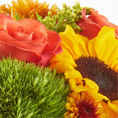 Farmer’s Market Stroll Bouquet – SHAW'S, West Bridgewater MA