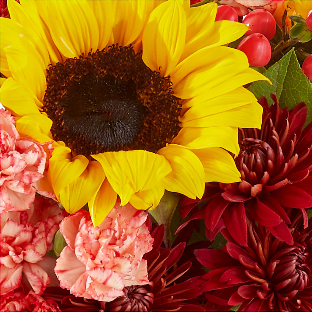 Fresh Cider Bouquet – SHAW'S, West Bridgewater MA