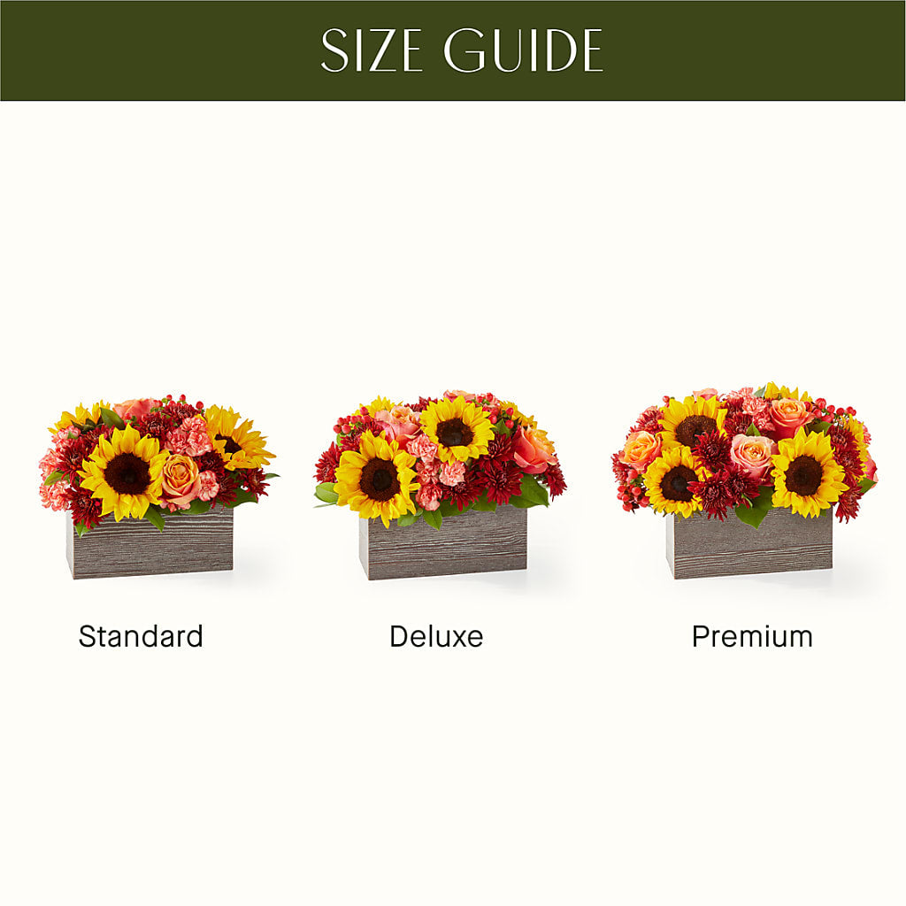 Fresh Cider Bouquet – SHAW'S, West Bridgewater MA