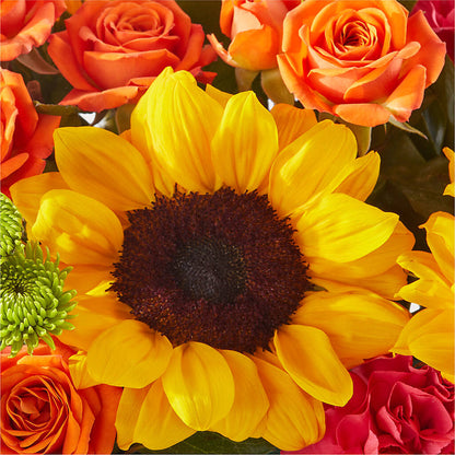 Sun-drenched Blooms Box Bouquet – SHAW'S, West Bridgewater MA