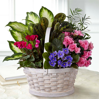 Peaceful Garden Planter – SHAW'S, West Bridgewater MA