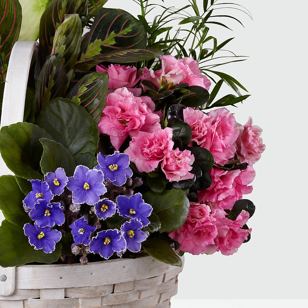 Peaceful Garden Planter – SHAW'S, West Bridgewater MA
