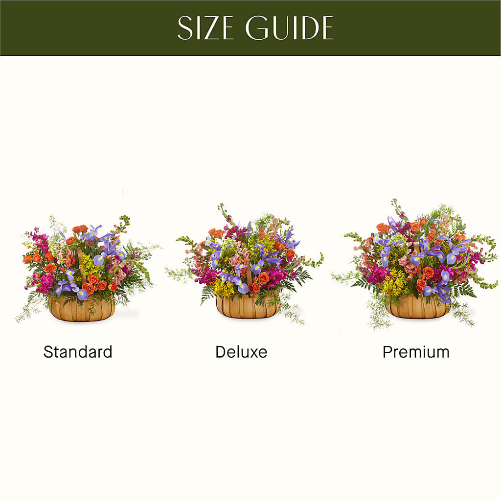 Garden of Life Basket – SHAW'S, West Bridgewater MA