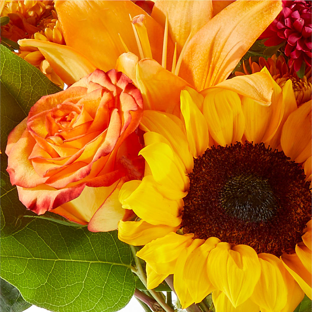 Fall Day Bouquet – SHAW'S, West Bridgewater MA