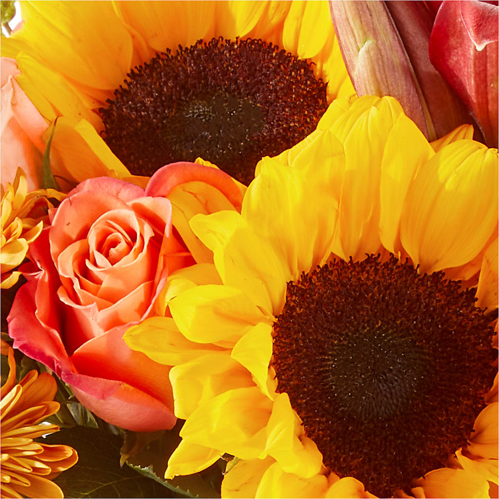 Acorn Lane Bouquet – SHAW'S, West Bridgewater MA