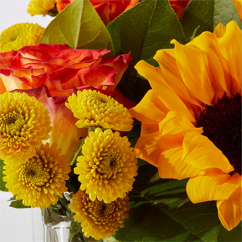 Picnic in the Park Bouquet – SHAW'S, West Bridgewater MA