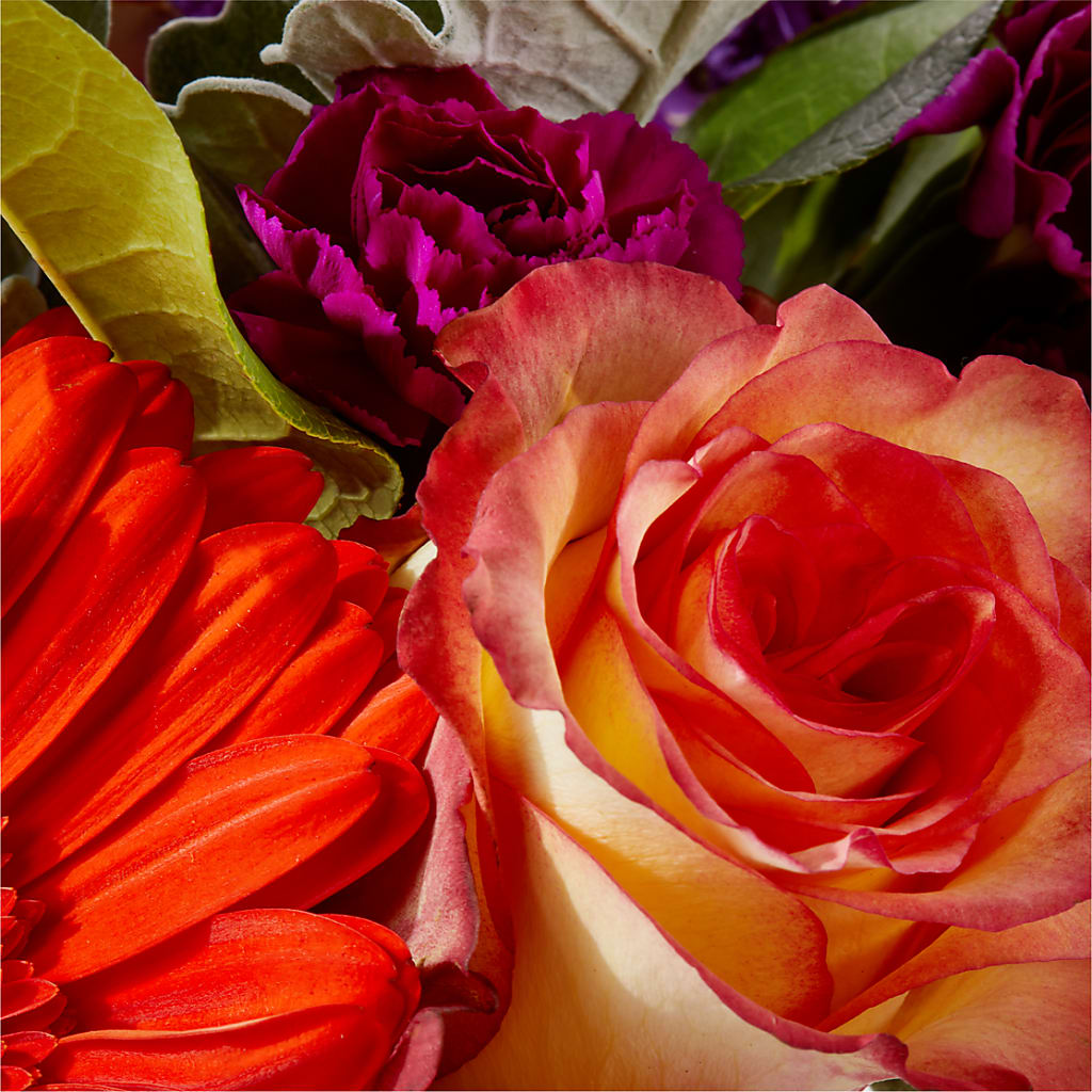 Sangria Bouquet – SHAW'S, West Bridgewater MA