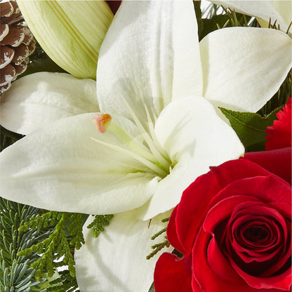 Oh So Jolly Bouquet – SHAW'S, West Bridgewater MA