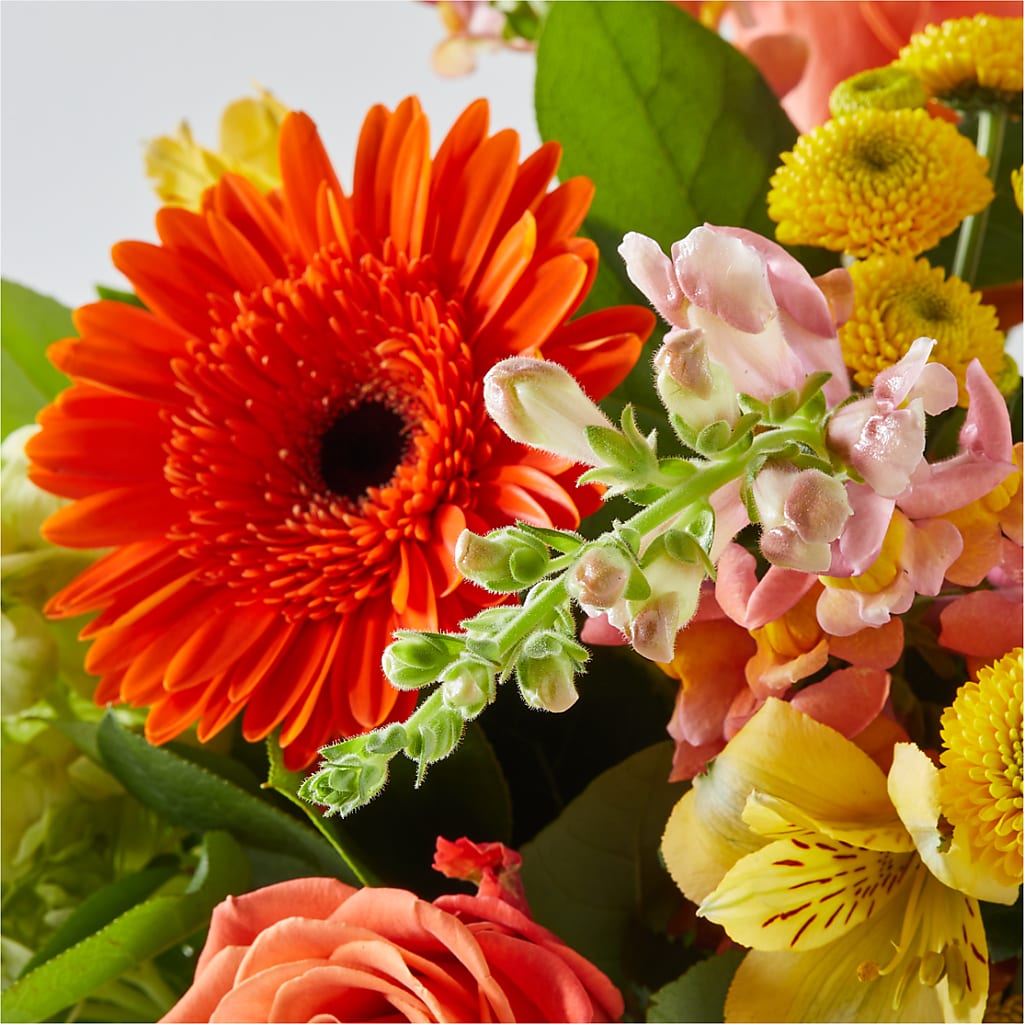 Autumn Sunshine Bouquet – SHAW'S, West Bridgewater MA