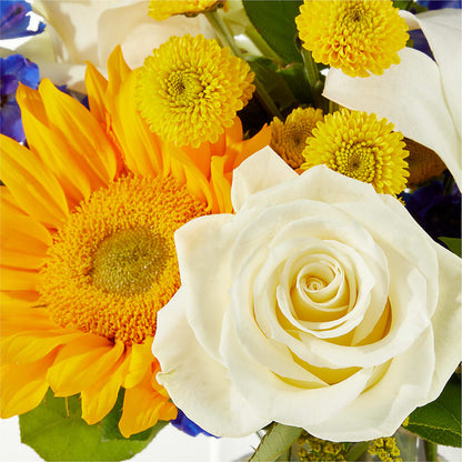 Stargazing Bouquet – SHAW'S, West Bridgewater MA