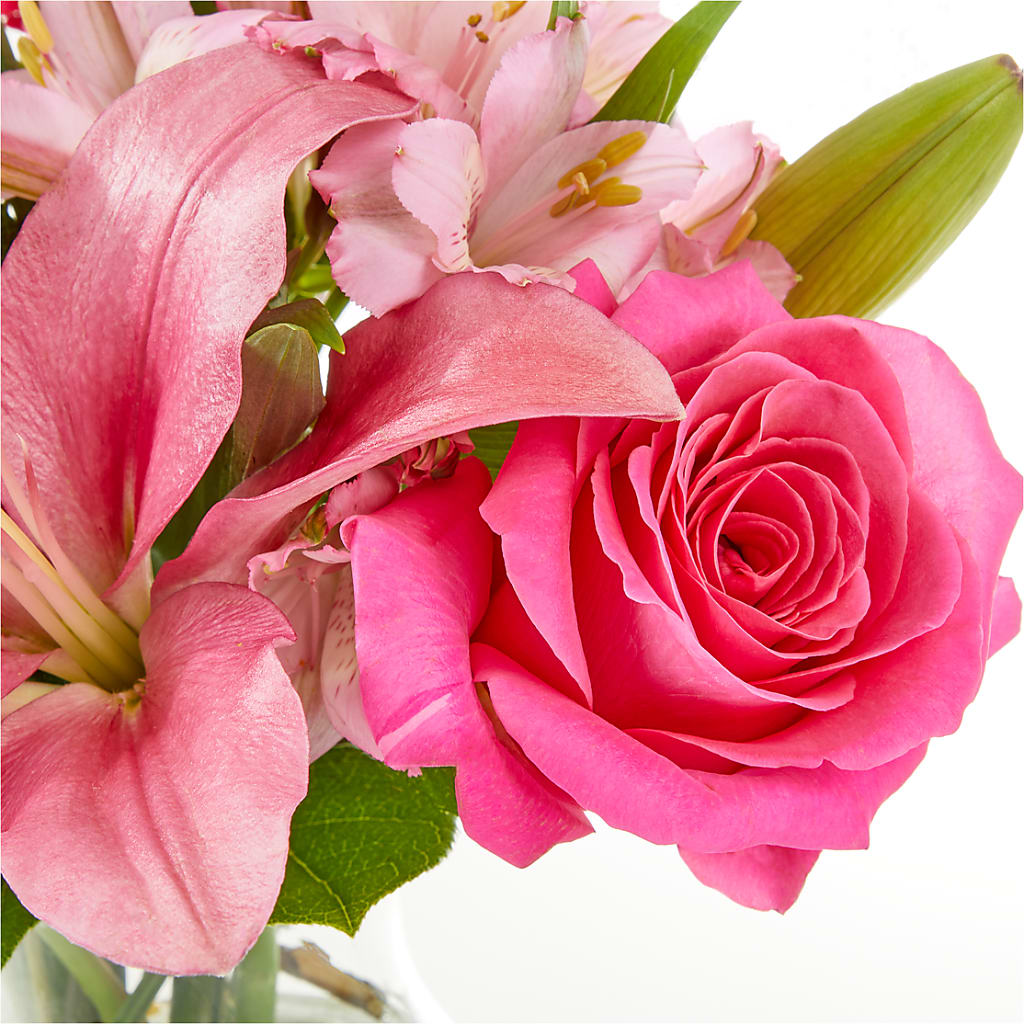 Lots of Love Bouquet – SHAW'S, West Bridgewater MA
