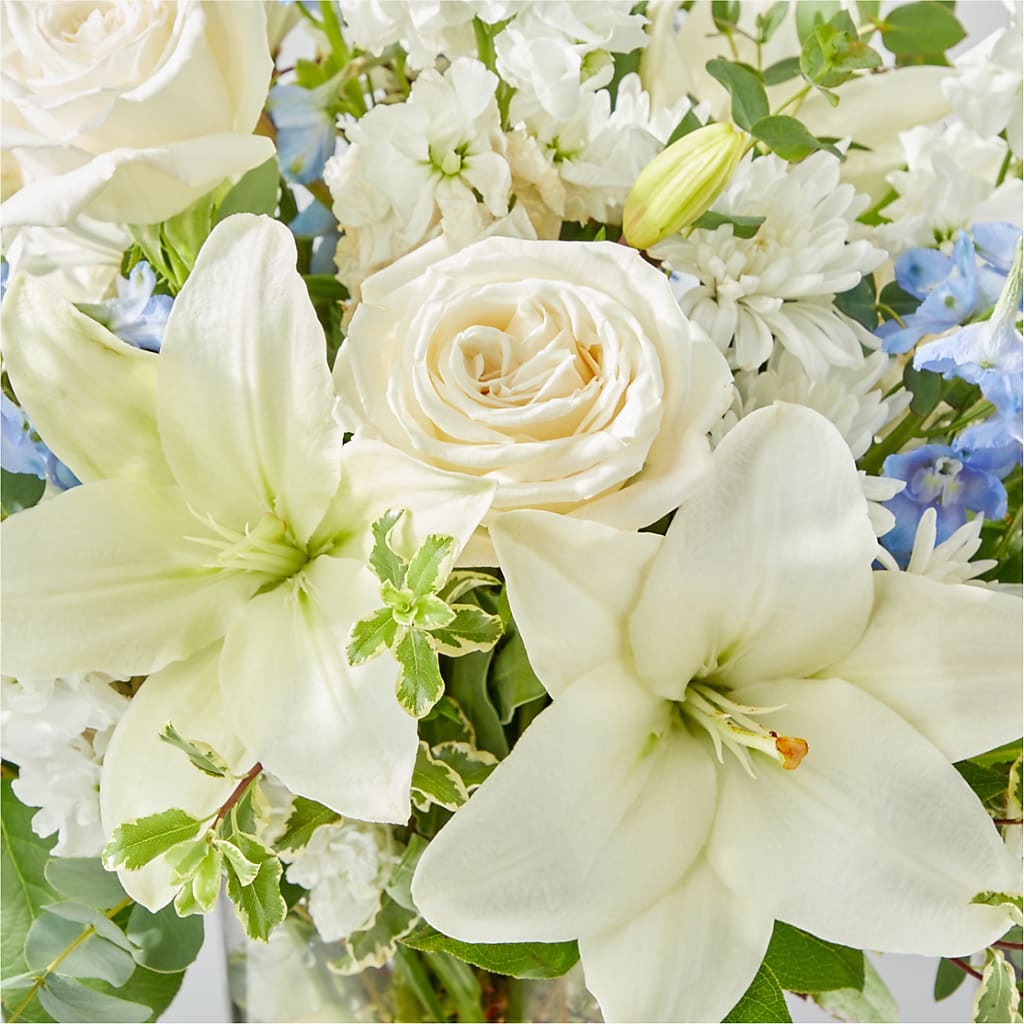 Peace of Mind Bouquet – SHAW'S, West Bridgewater MA
