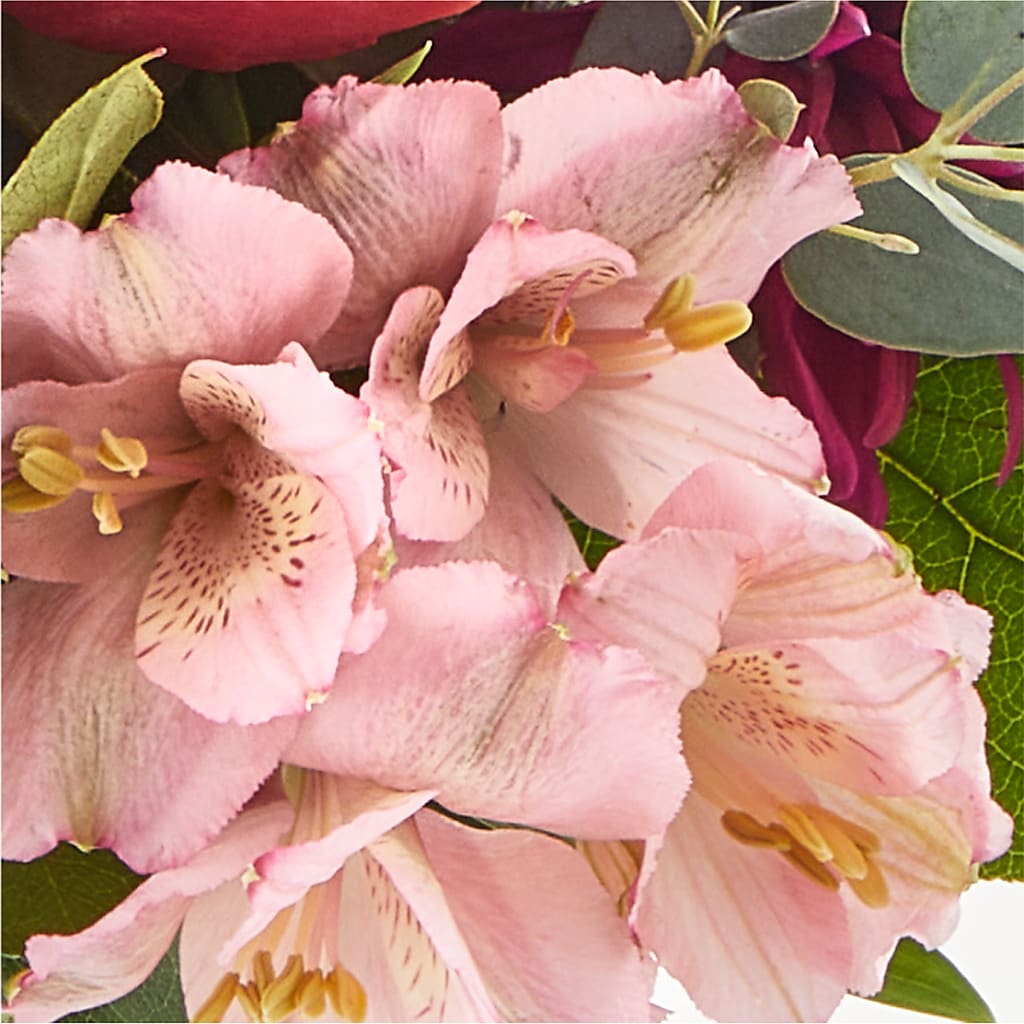 Berry Cobbler Bouquet – SHAW'S, West Bridgewater MA