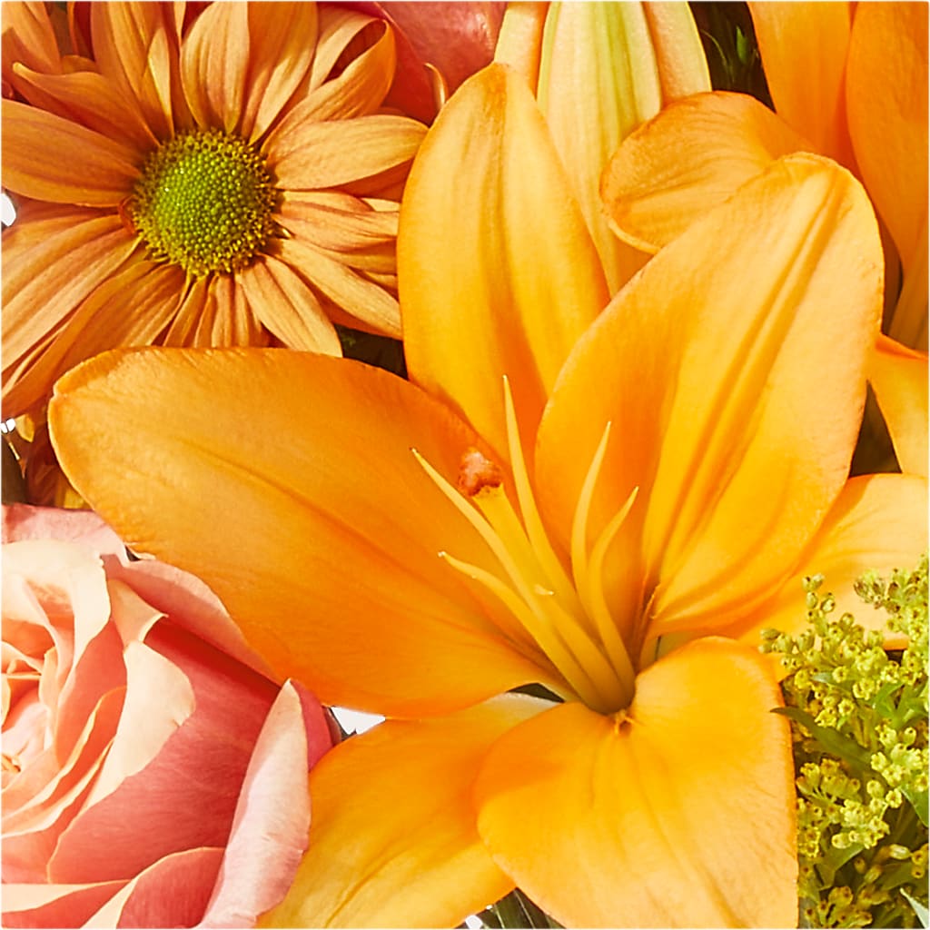 Harvest Hayride Bouquet – SHAW'S, West Bridgewater MA