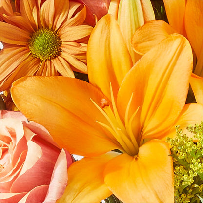 Harvest Hayride Bouquet – SHAW'S, West Bridgewater MA