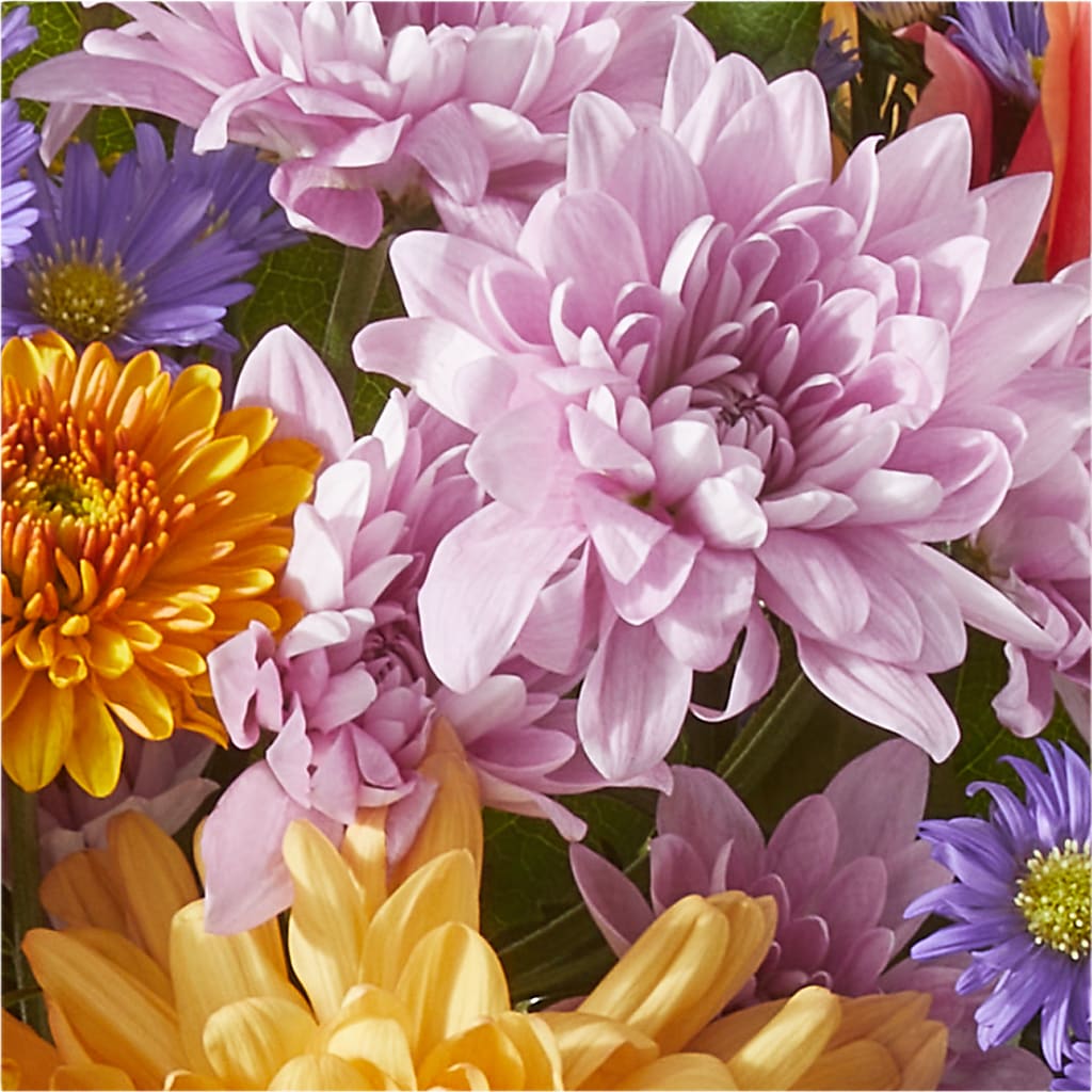 Countryside Bouquet – SHAW'S, West Bridgewater MA