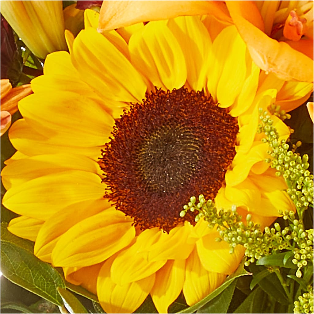 Seasons Change Bouquet – SHAW'S, West Bridgewater MA