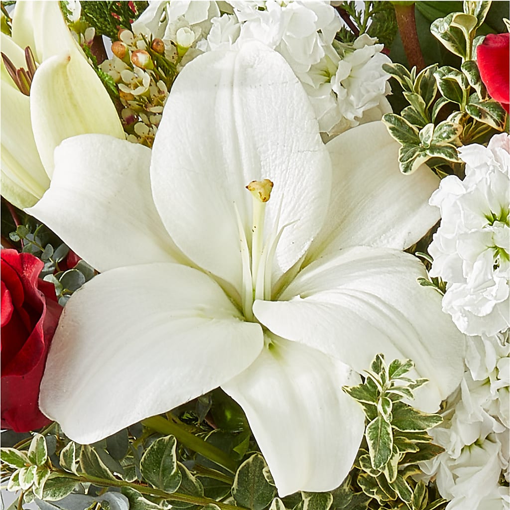 Twinkle Lights Bouquet – SHAW'S, West Bridgewater MA