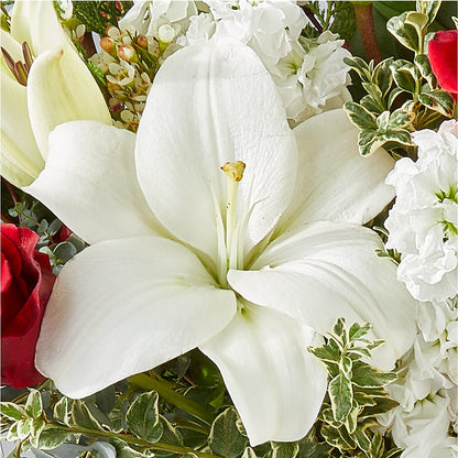 Twinkle Lights Bouquet – SHAW'S, West Bridgewater MA