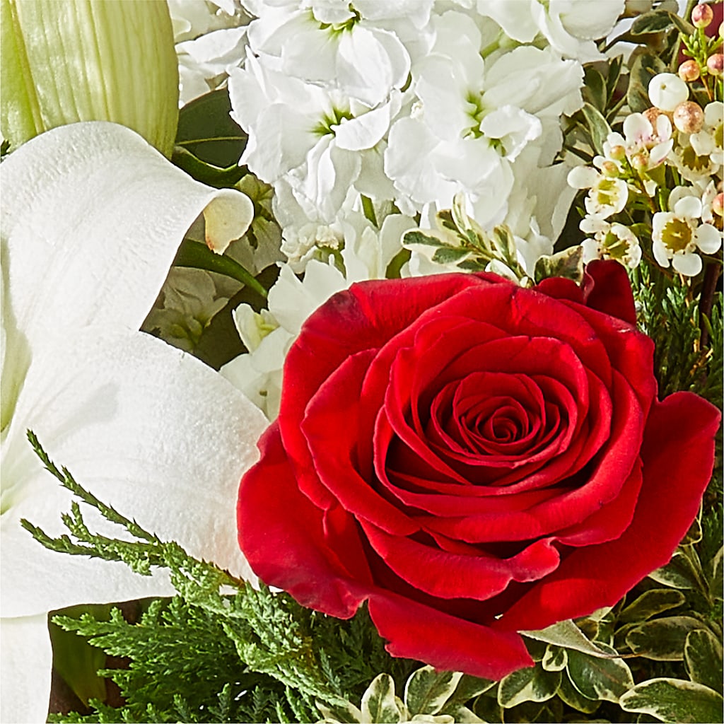 Twinkle Lights Bouquet – SHAW'S, West Bridgewater MA