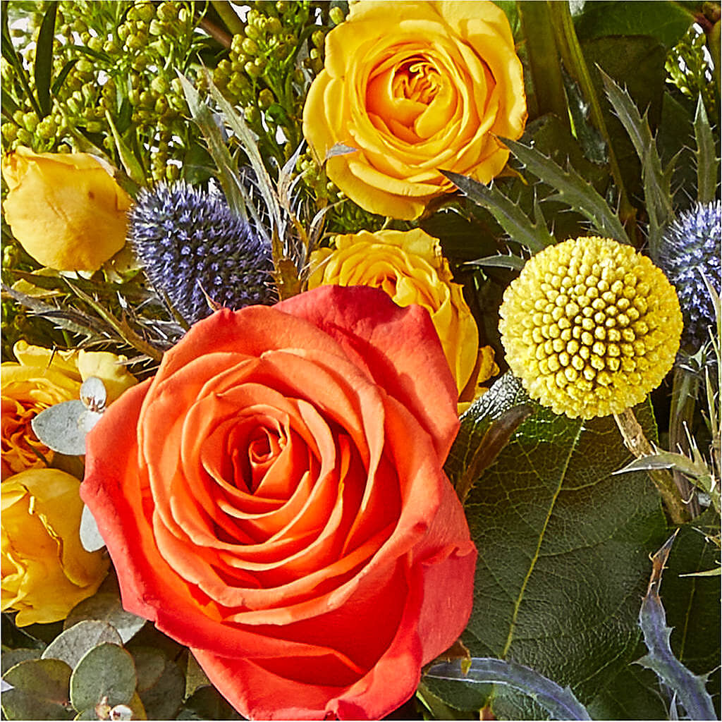 Disco Bouquet – SHAW'S, West Bridgewater MA