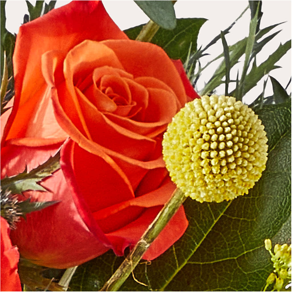 Disco Bouquet – SHAW'S, West Bridgewater MA