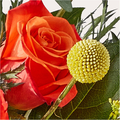 Disco Bouquet – SHAW'S, West Bridgewater MA