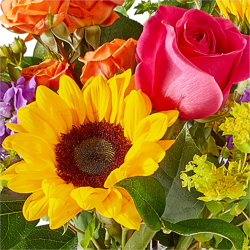 Vibrant Greetings Bouquet – SHAW'S, West Bridgewater MA
