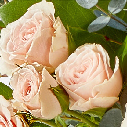 Inspired Bouquet – SHAW'S, West Bridgewater MA