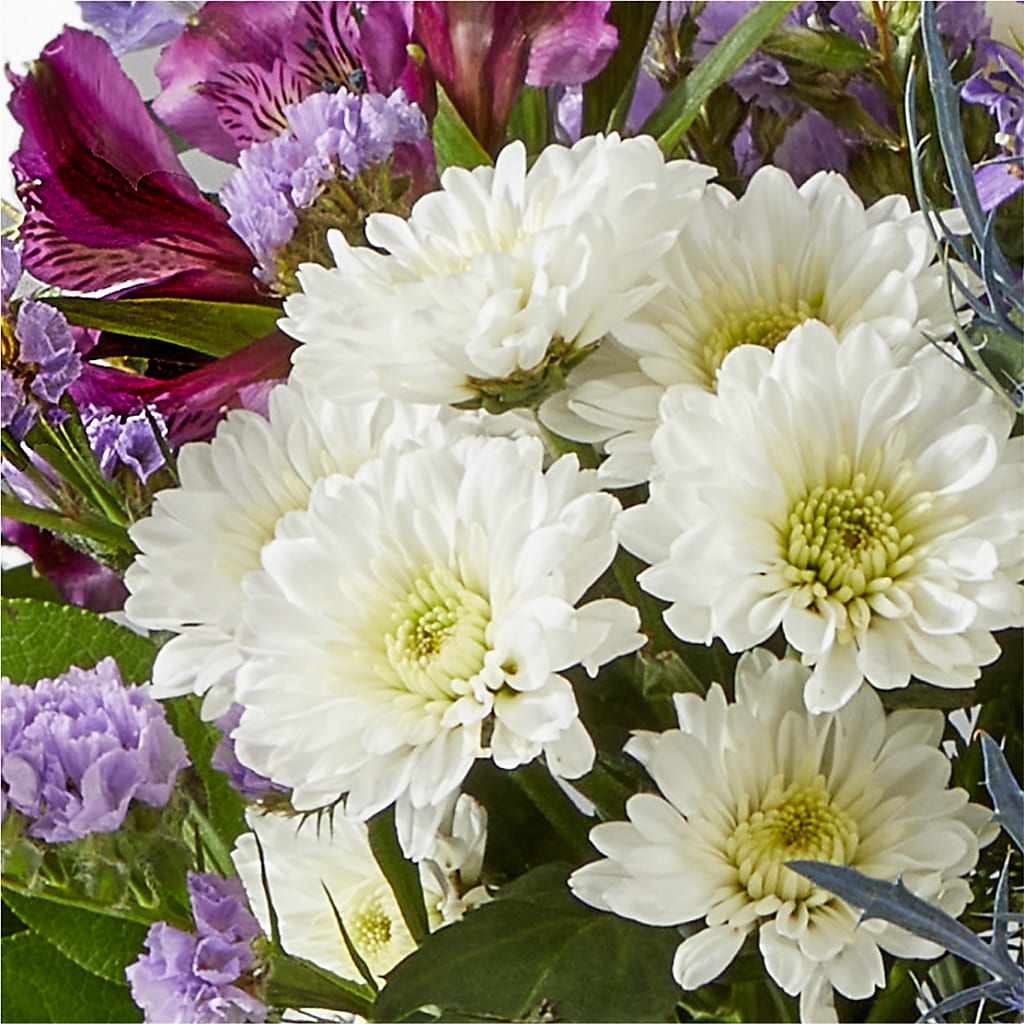 Shooting Star Bouquet – SHAW'S, West Bridgewater MA