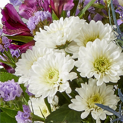 Shooting Star Bouquet – SHAW'S, West Bridgewater MA