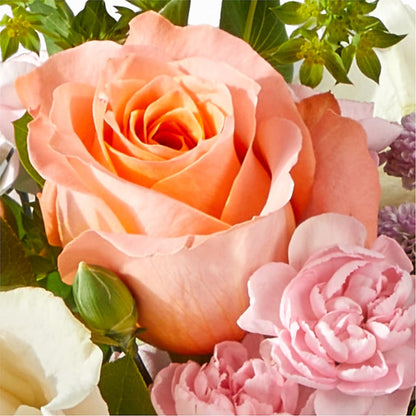 French Market Bouquet – SHAW'S, West Bridgewater MA