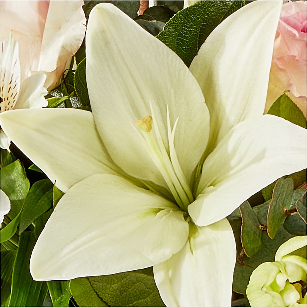 Ballet Slippers Bouquet – SHAW'S, West Bridgewater MA