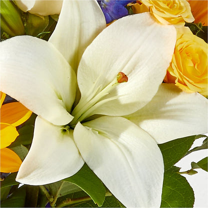 Wonderfully Sunny Bouquet – SHAW'S, West Bridgewater MA