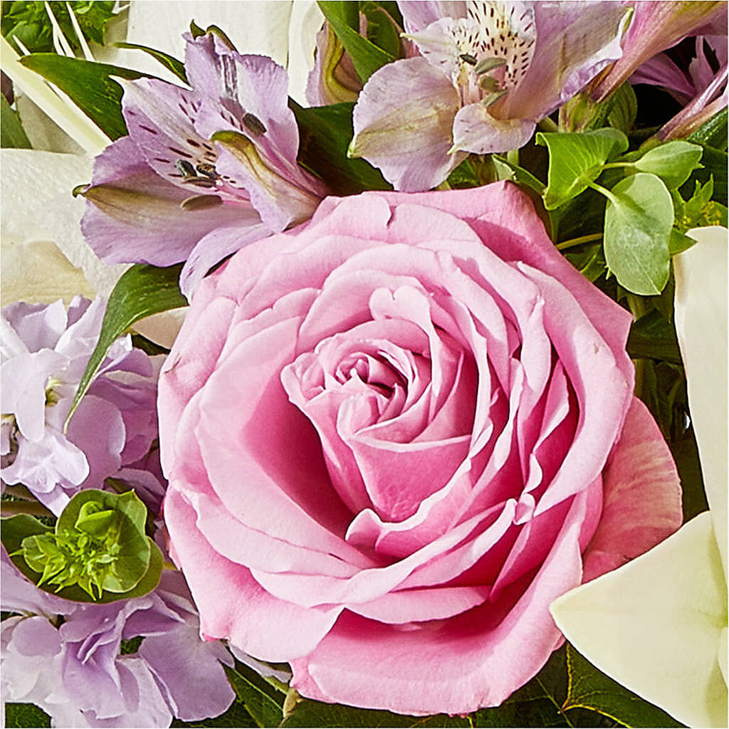 Daydreamer Bouquet – SHAW'S, West Bridgewater MA