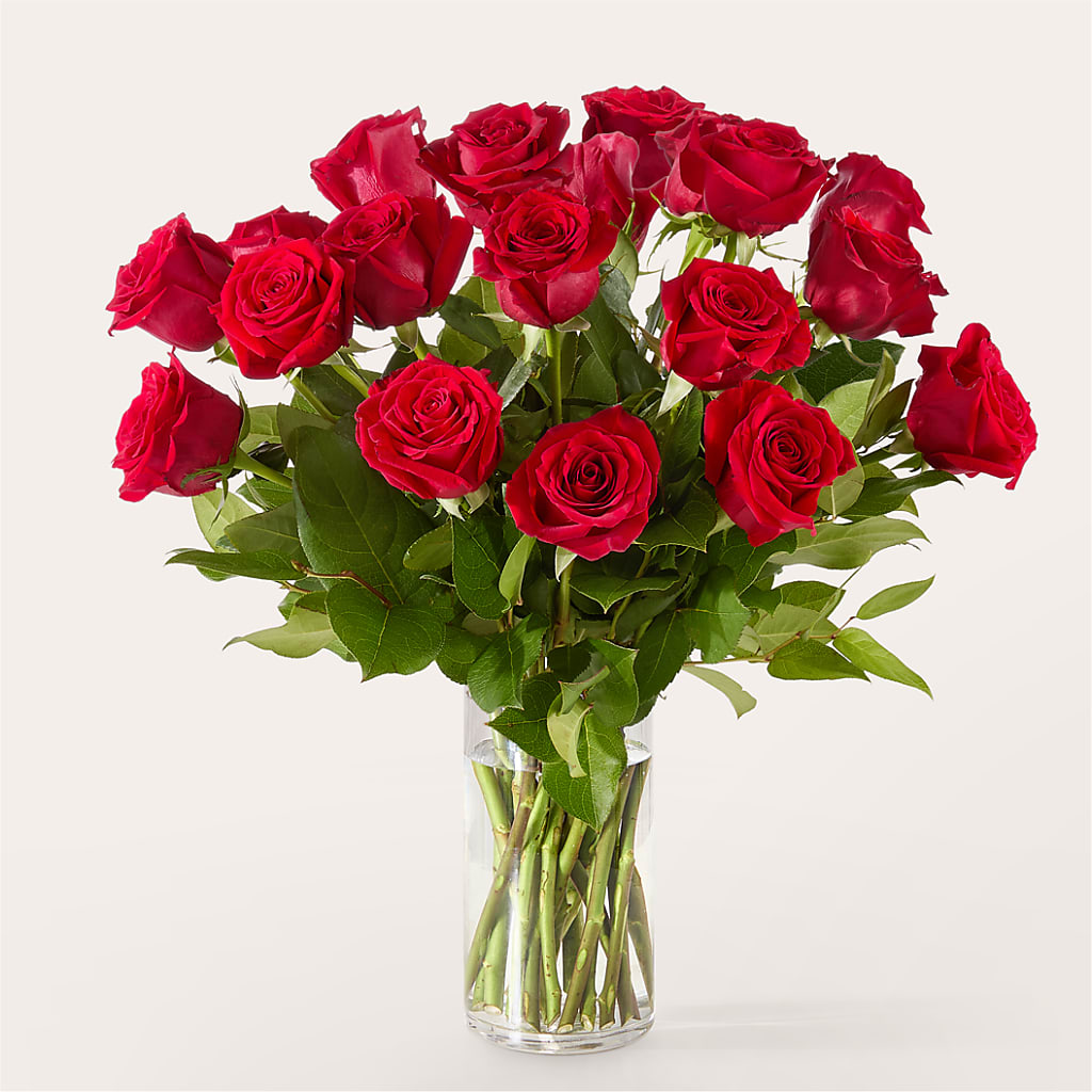 The One Red Rose Bouquet – SHAW'S, West Bridgewater MA