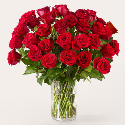 The One Red Rose Bouquet – SHAW'S, West Bridgewater MA