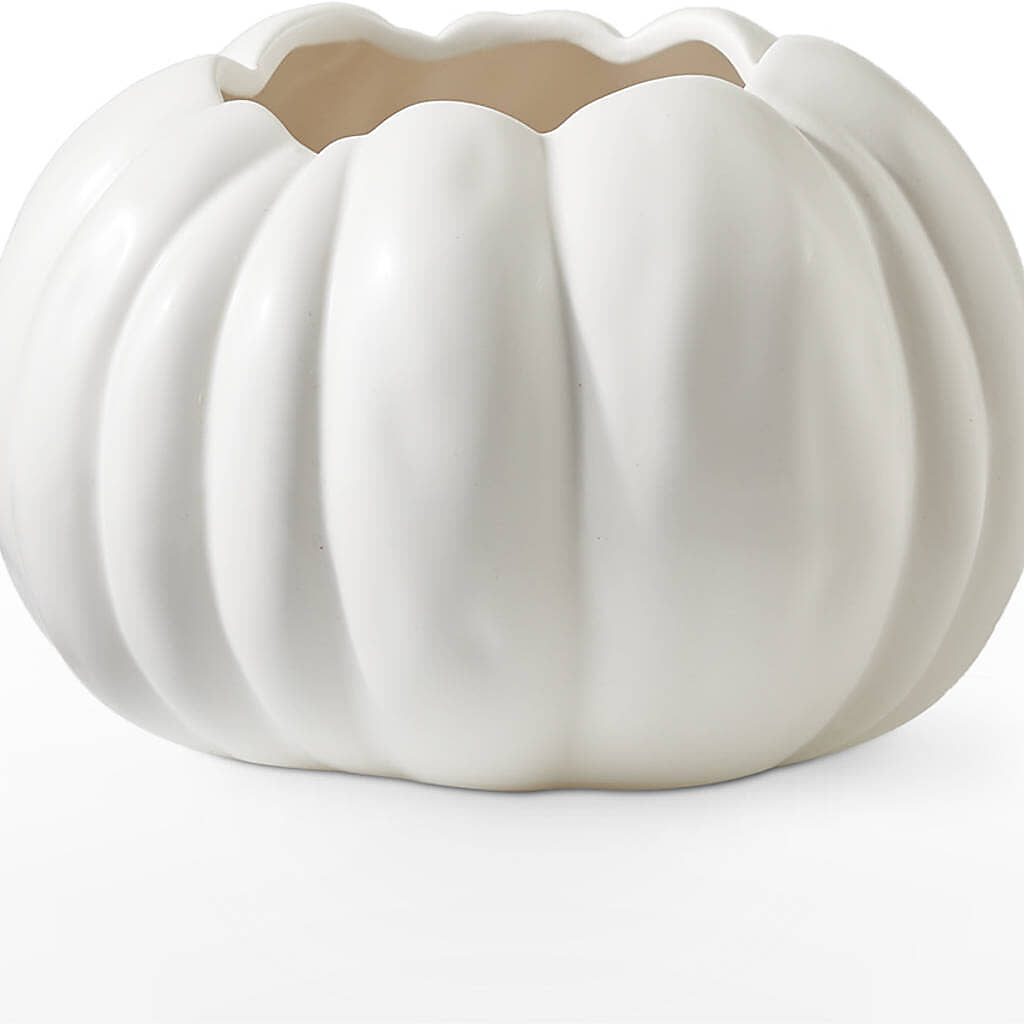 Pumpkin to Talk About Bouquet – SHAW'S, West Bridgewater MA